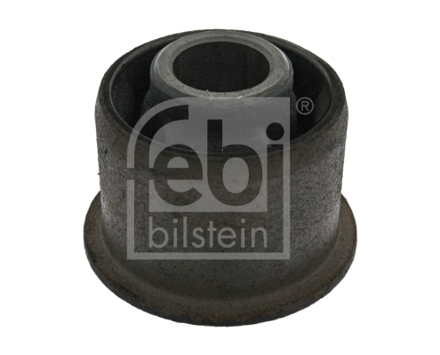 Mounting, control/trailing arm